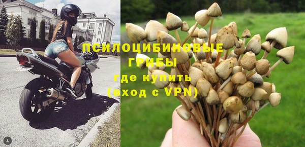 каннабис Покачи