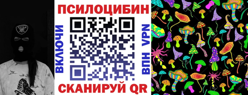 маркетплейс наркотические препараты купить наркоту Екатеринбург Псилоцибиновые грибы Psilocybe